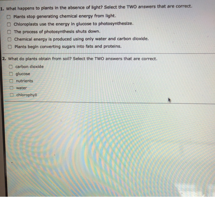 Solved 1. What happens to plants in the absence of light?