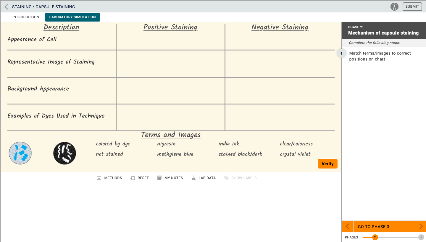 solved-staining-capsule-staining-submit-introduction-chegg