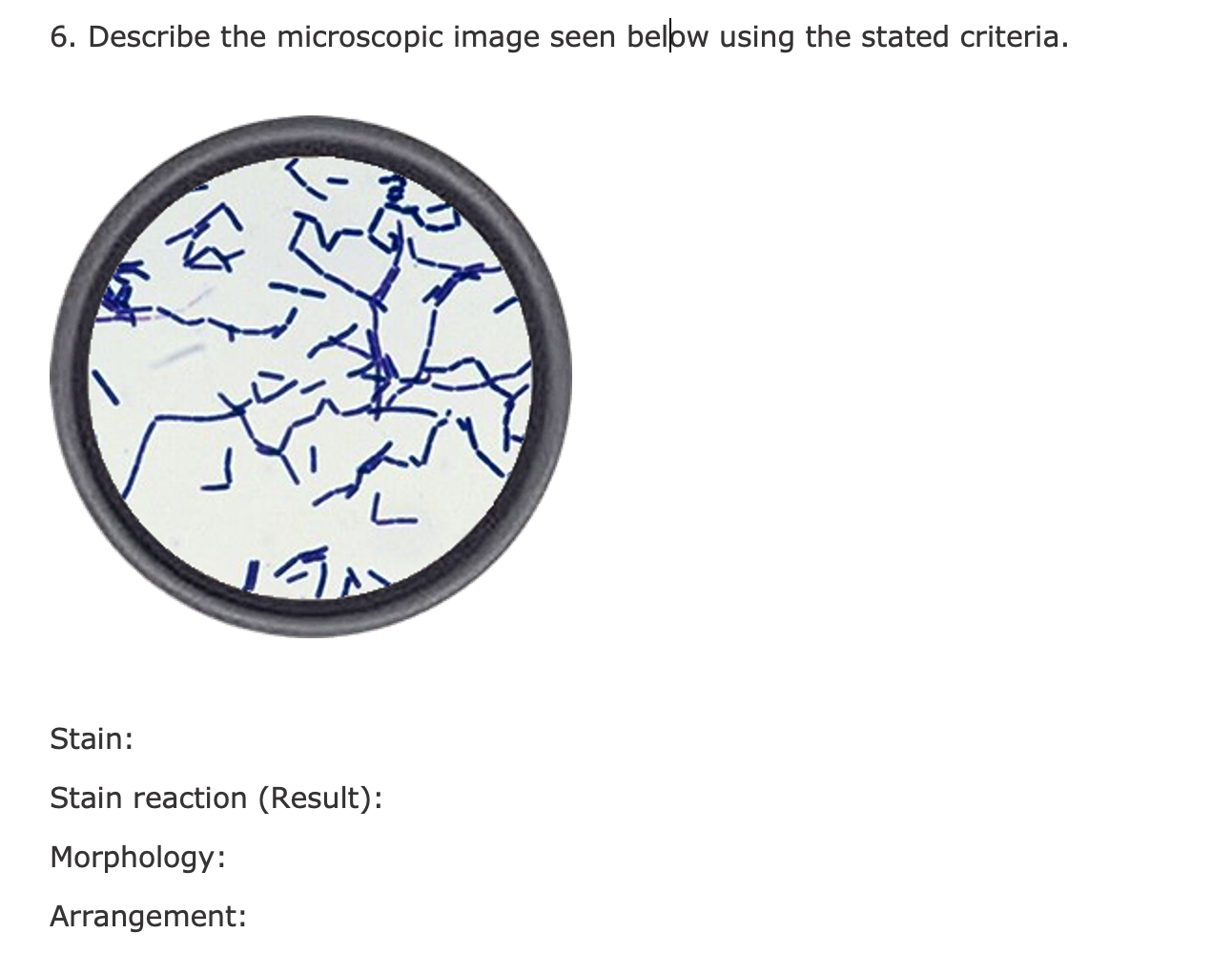 Solved 6 Describe The Microscopic Image Seen Belbw Using Chegg