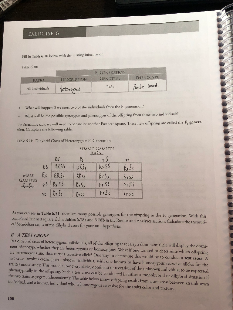 EXERCISE 6 MENDELIAN GENETICS WITH STATISTICAL ANA... | Chegg.com