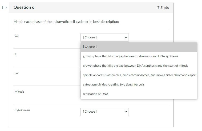 Solved Question 6 7.5 pts Match each phase of the eukaryotic | Chegg.com
