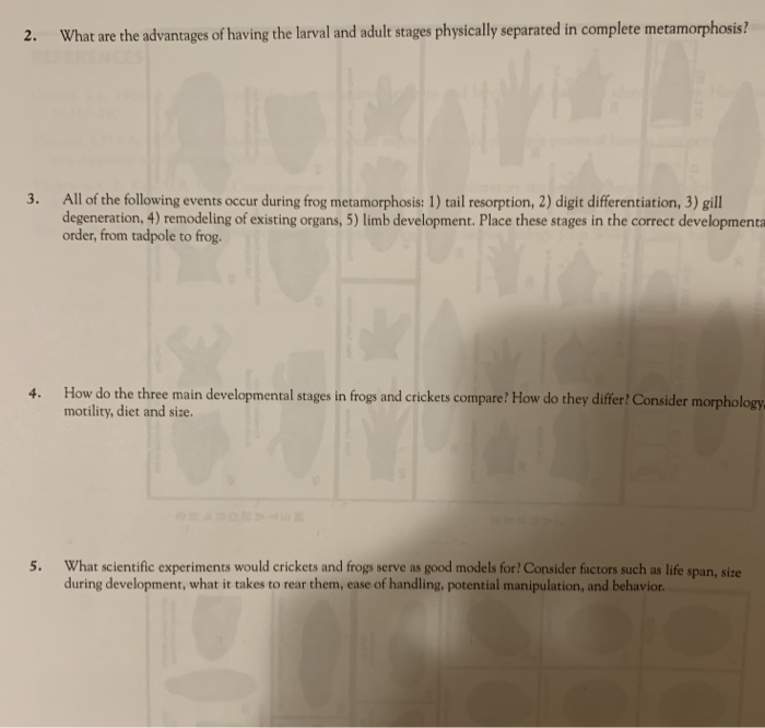 Solved What are the advantages of having the larval and | Chegg.com