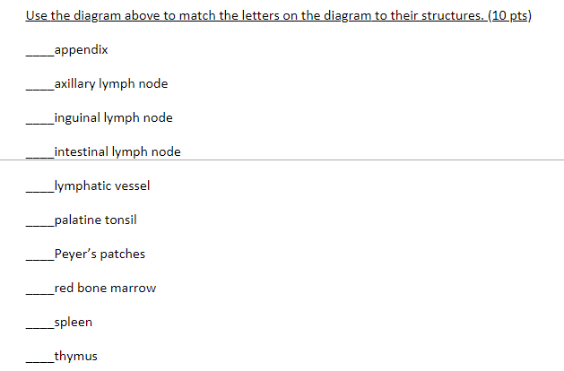 Solved A G H Use the diagram above to match the letters on | Chegg.com