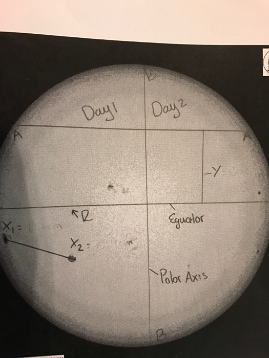 Solved ROTATION OF THE SUN LAB stronomy 1020 Worksheet Lab | Chegg.com