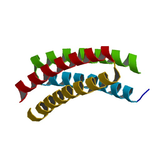 Solved Estimate The Molecular Weight The Identical Subunits 