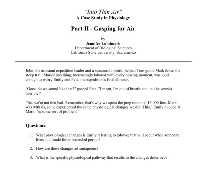 into thin air case study answers quizlet