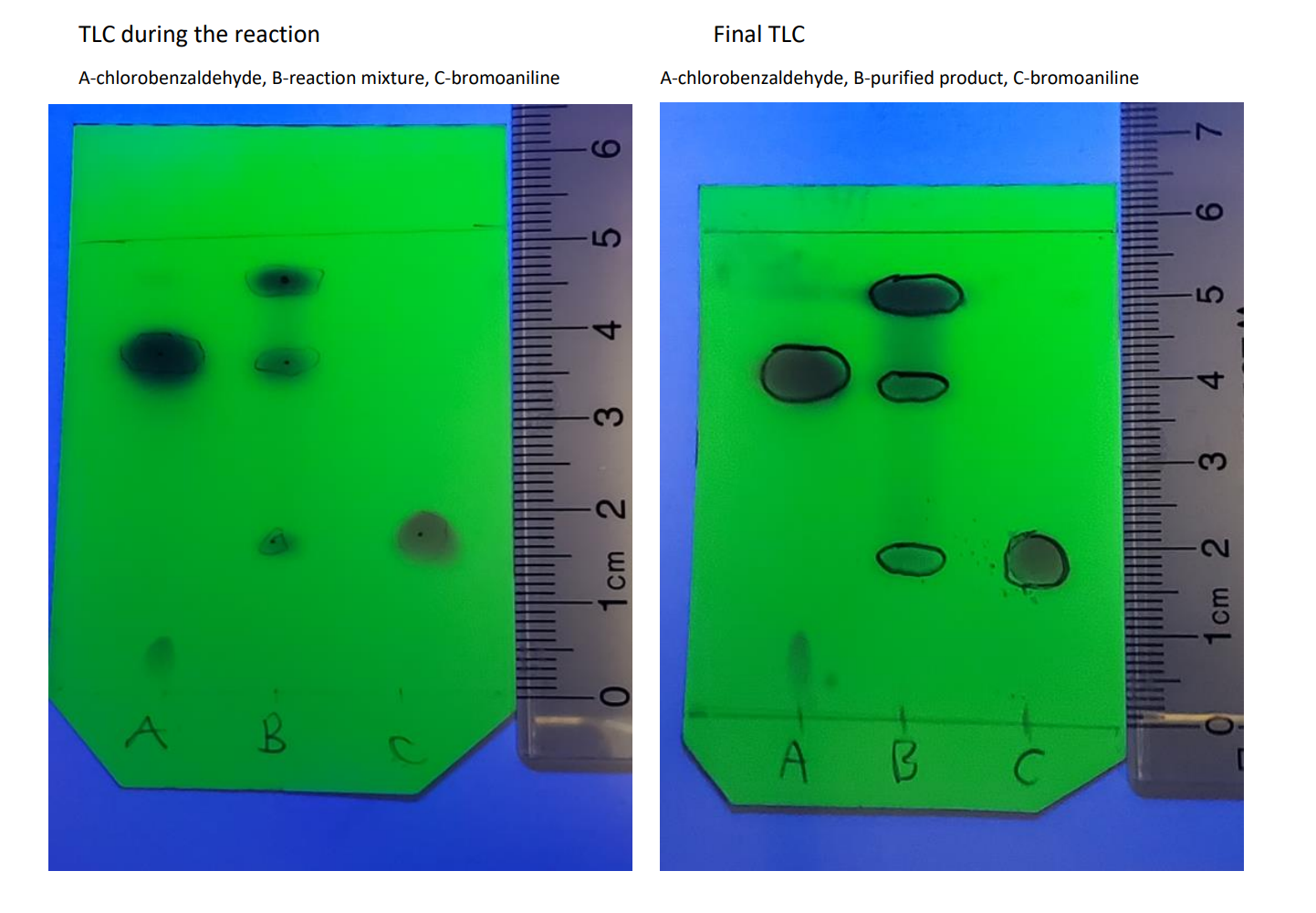 Solved Report TLC analysis form reaction vessel and of your | Chegg.com