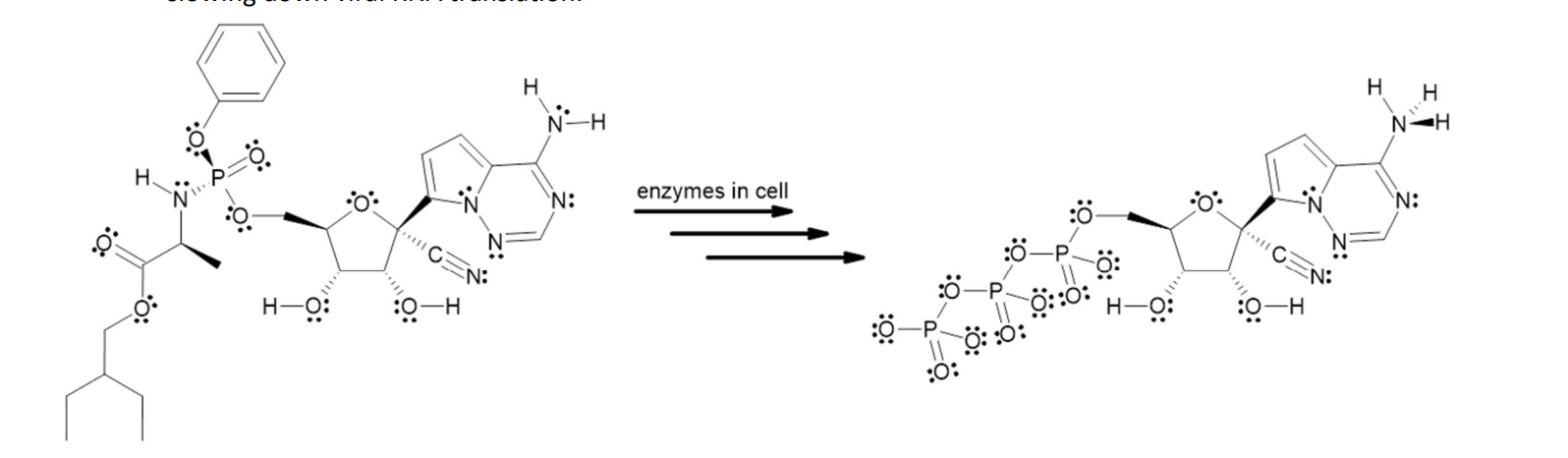 1 Calculate The Formal Charges For Each Of The O N Chegg Com