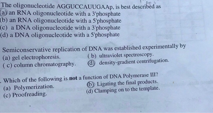 Solved The oligonucleotide AGGUCCAUUGAAp, is best described | Chegg.com