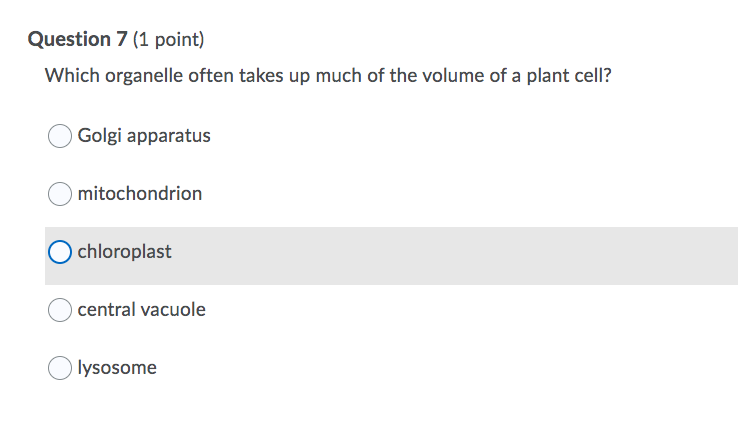 Solved Question 8 (1 Point) Which Of The Following Is | Chegg.com