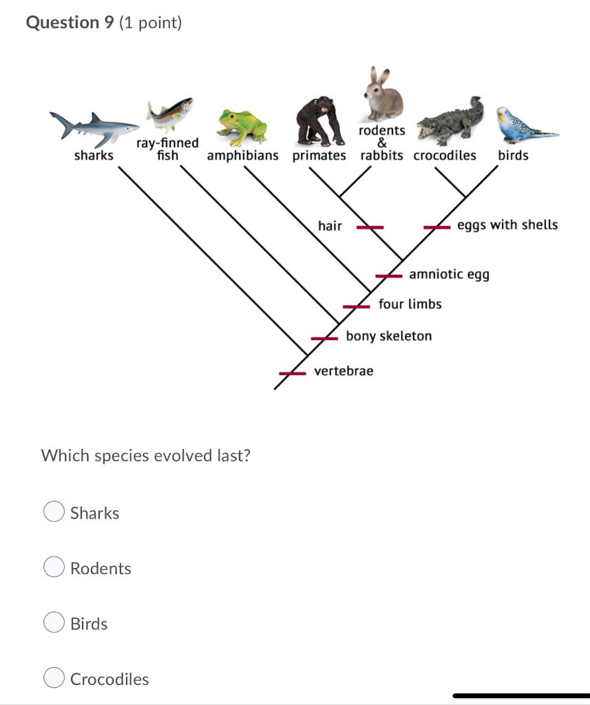 Solved Question 8 (1 point) Which of the following pairs is | Chegg.com