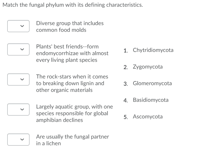 Solved Match the fungal phylum with its defining | Chegg.com