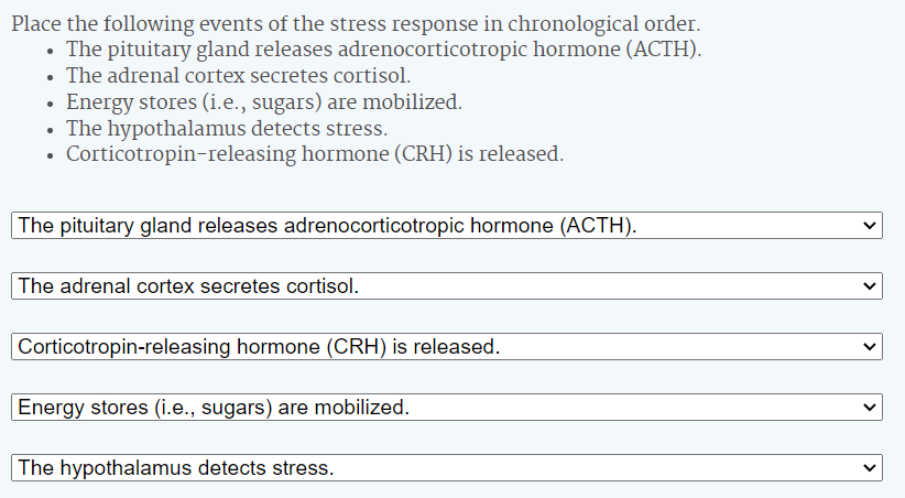 Solved Place the following events of the stress response in | Chegg.com
