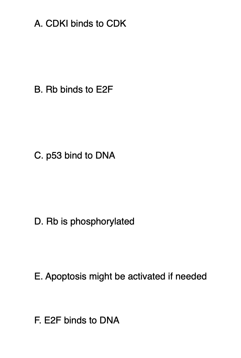 Solved Our cells have robust checkpoint and DNA damage Biology Diagrams