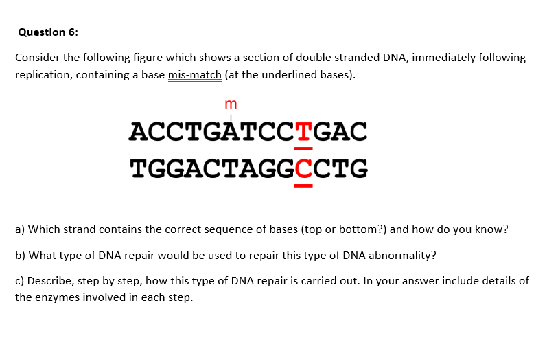 Solved Question 6: Consider The Following Figure Which Shows | Chegg.com