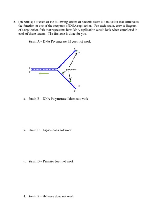 Solved Chapter 9 Problem set 1. The following segment of DNA | Chegg.com