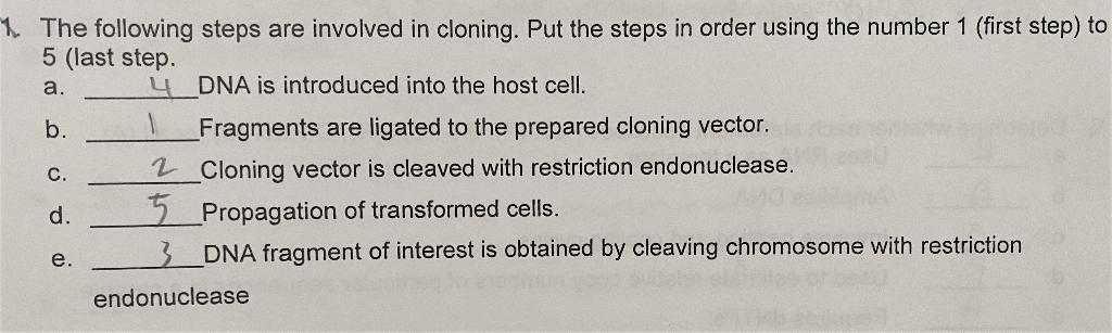 Solved The Following Steps Are Involved In Cloning. Put The | Chegg.com