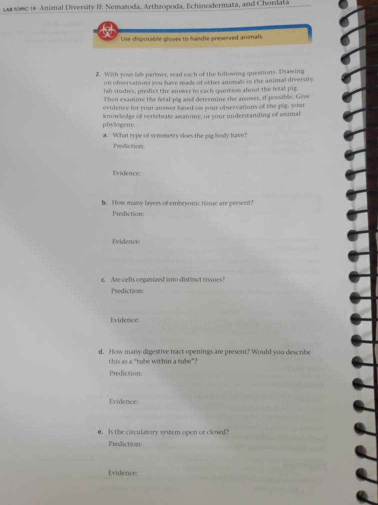 Solved LAB TOPIC 19 Animal Diversity II: Nematoda, | Chegg.com
