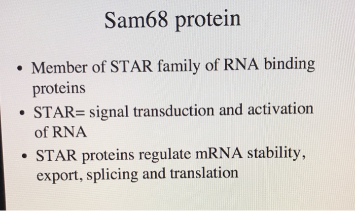Solved Sam68 protein Member of STAR family of RNA binding | Chegg.com
