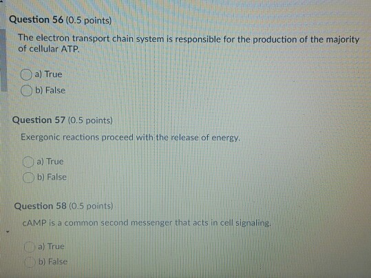 Solved Question 56 (0.5 points) The electron transport chain | Chegg.com