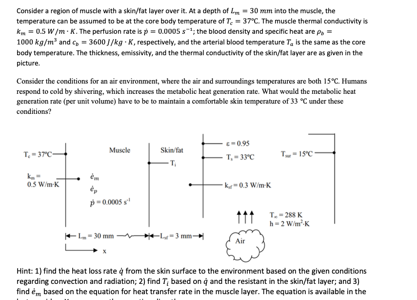 Consider a region of muscle with a skin/fat layer | Chegg.com