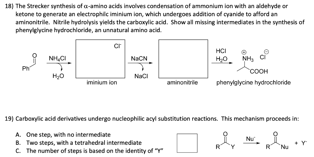 Solved The Strecker synthesis of alpha‐amino acids | Chegg.com