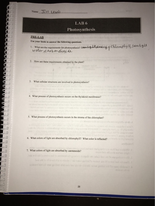 Solved Name Lewis LAB 6 Photosynthesis PRELAB Use your book