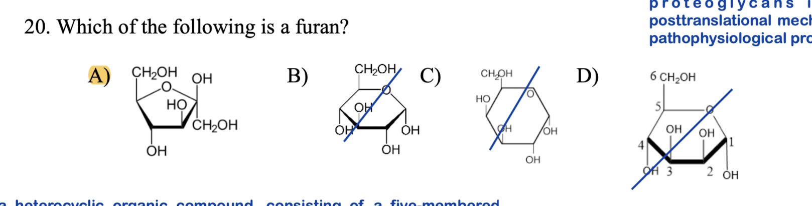 Solved Which of the following is a furan | Chegg.com