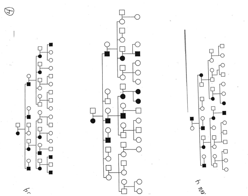 Solved Using these pedigree charts, determine the | Chegg.com