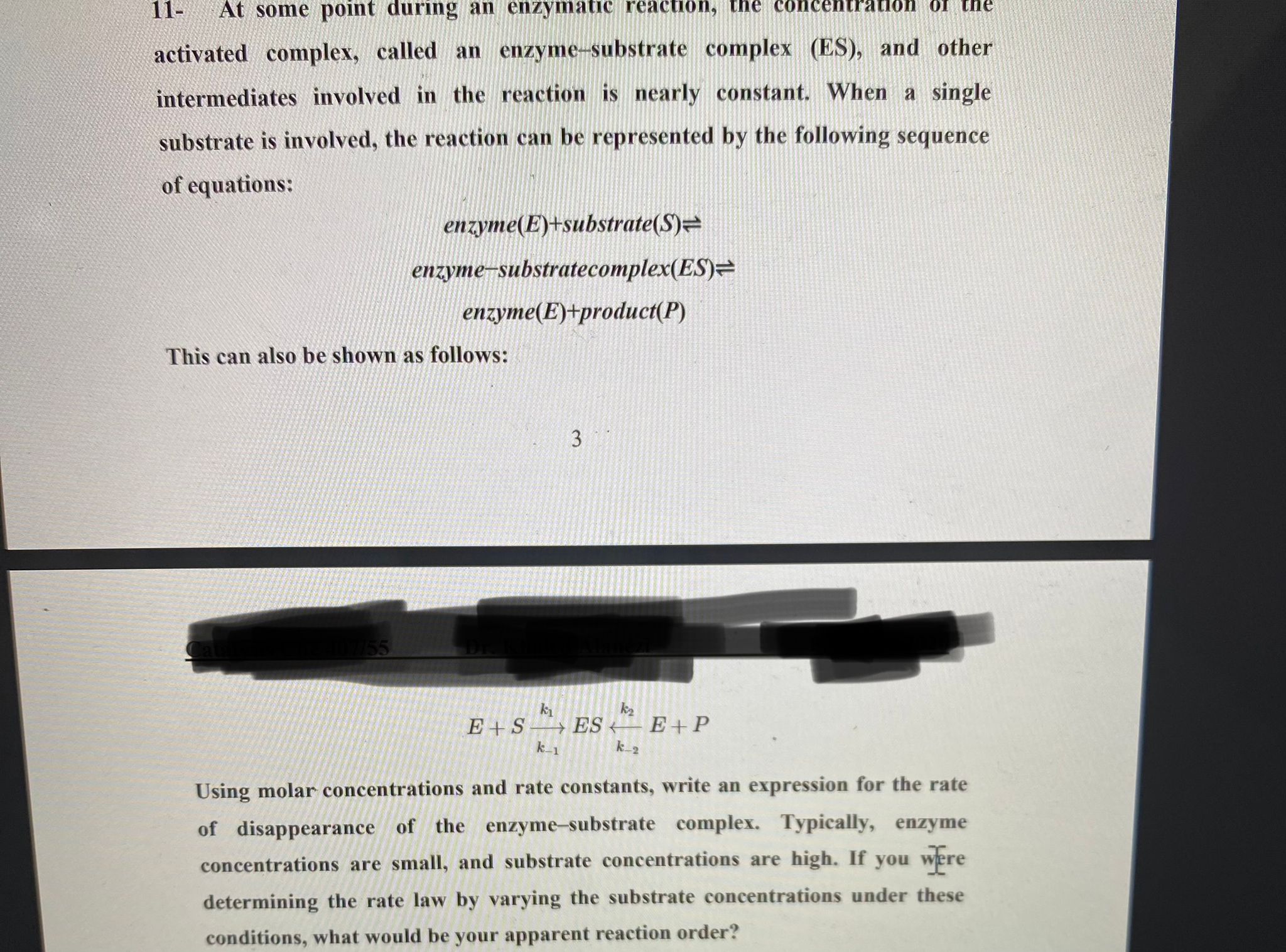 Enzymatic Function Substrate Product Enzyme Product Complex And