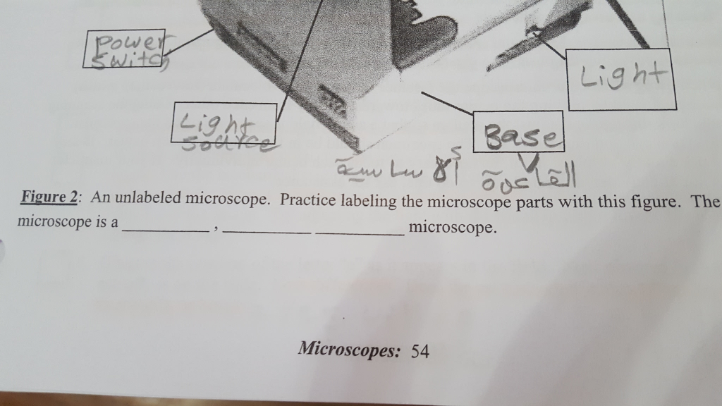 Unlabeled Light Microscope Diagram