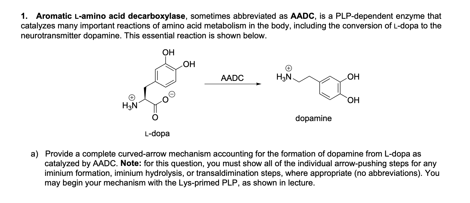 Solved 1. Aromatic Lamino acid decarboxylase, sometimes