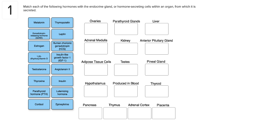 Solved Match each of the following hormones with the | Chegg.com