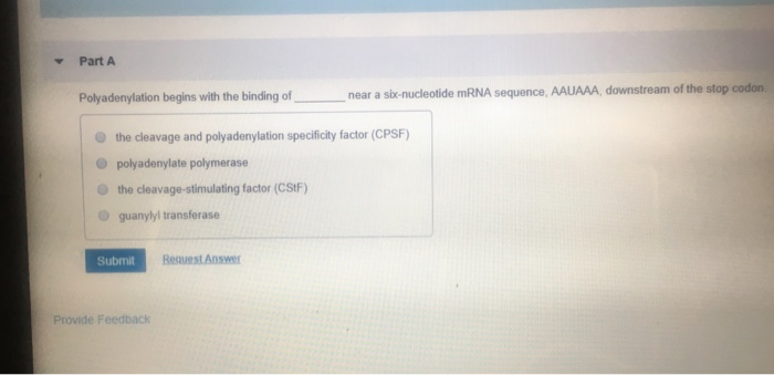 Solved Part A Polyadenylation begins with the binding ofn | Chegg.com