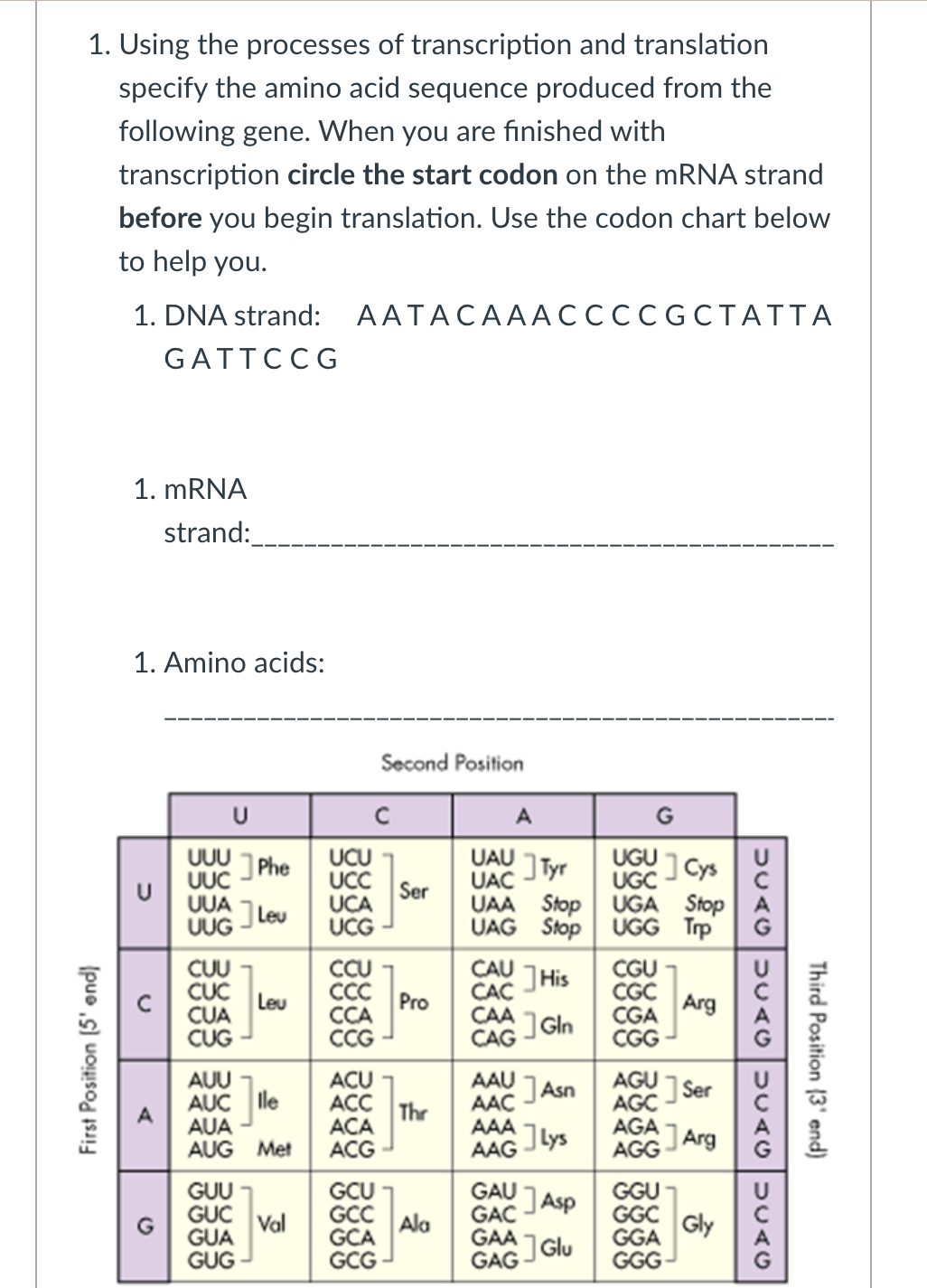 Solved 1. Using The Processes Of Transcription And 