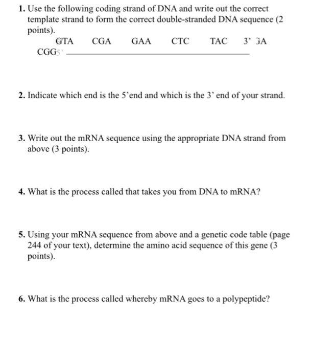 Solved 1. Use the following coding strand of DNA and write | Chegg.com