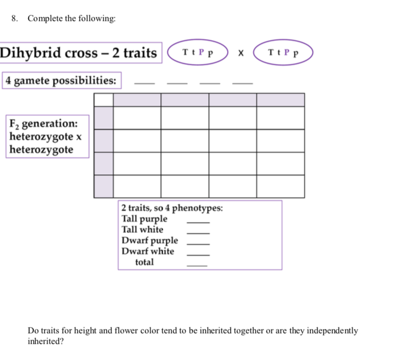 Solved Complete The Following Monohybrid Crosses Draw A Chegg Com