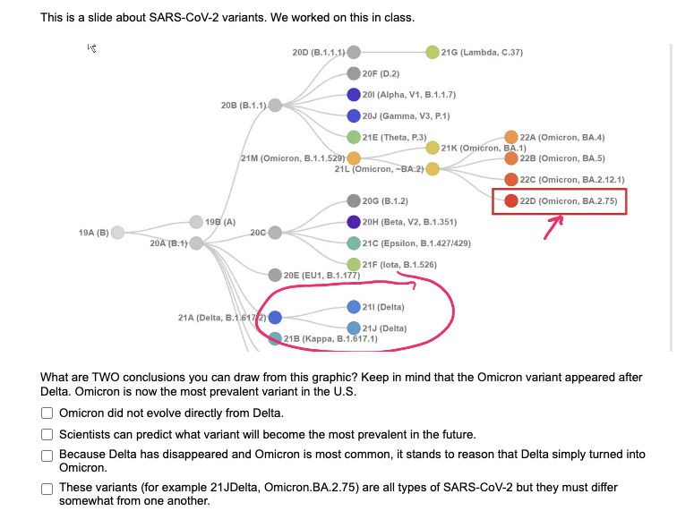 This is a slide about SARS-CoV-2 variants. We worked on this in class.
What are TWO conclusions you can draw from this graphi