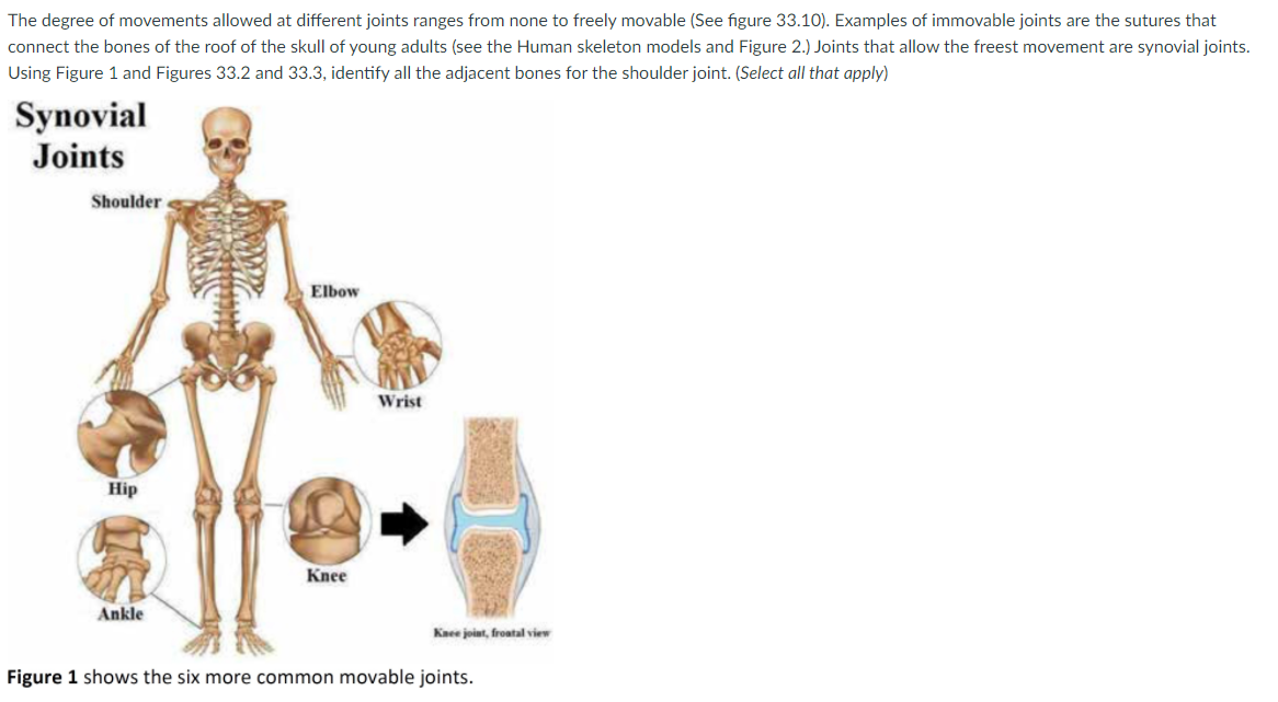 Solved The degree of movements allowed at different joints | Chegg.com