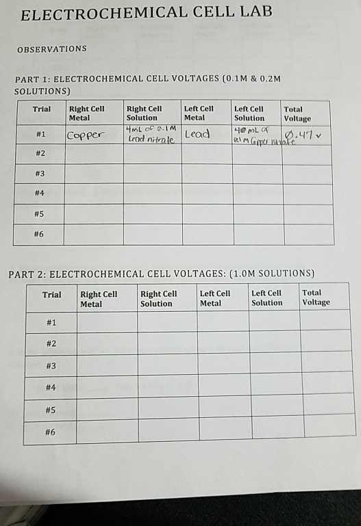 Solved ELECTROCHEMICAL CELL LAB OBSERVATIONS PART 1