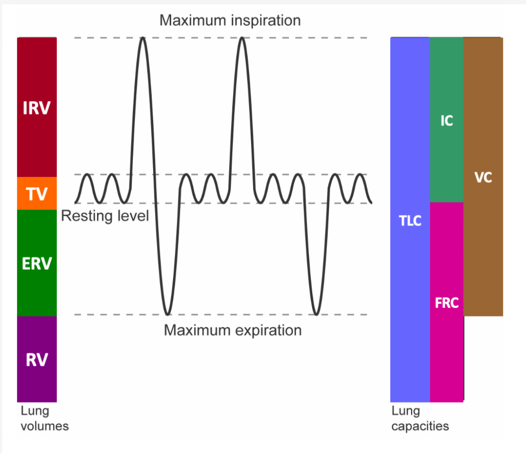 Solved Use 3.2 L vital capacity (even if you think it's not