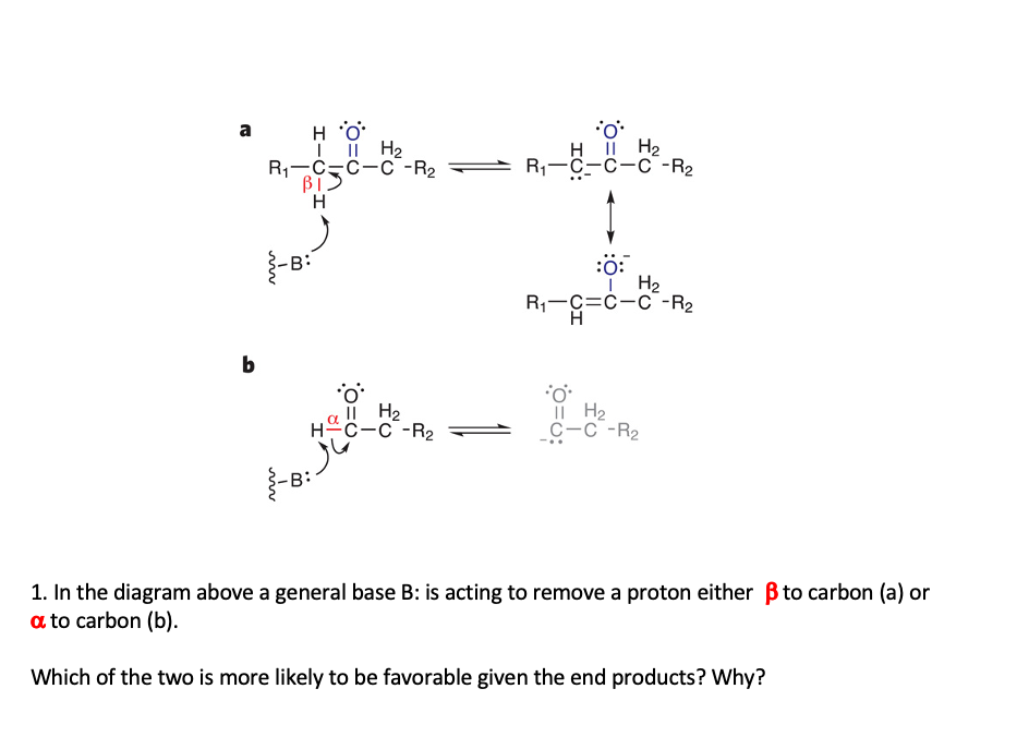 Solved B 1. In The Diagram Above A General Base B : Is | Chegg.com