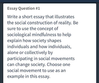 society question essay