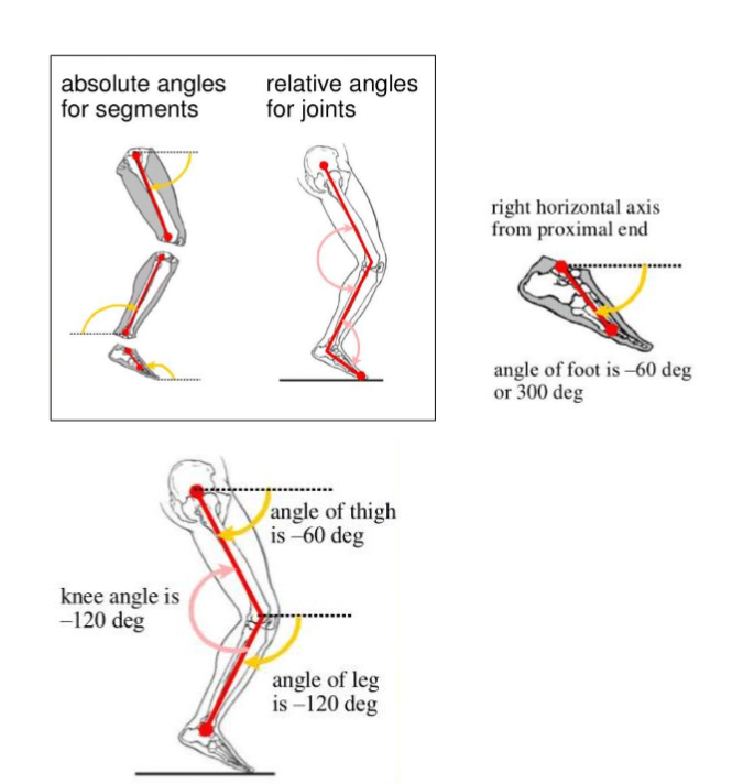 Solved Measure and record the following angles for the