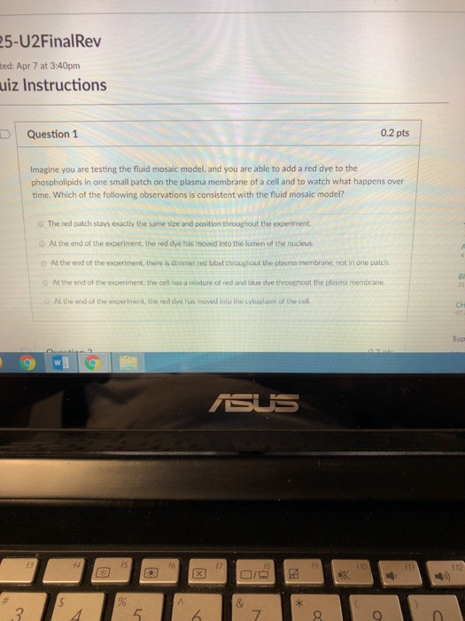 Solved 5-U2FinalRev ted: Apr 7 at 3:40pm uiz Instructions | Chegg.com