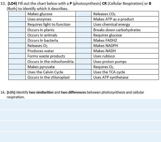 cellular respiration and photosynthesis chart
