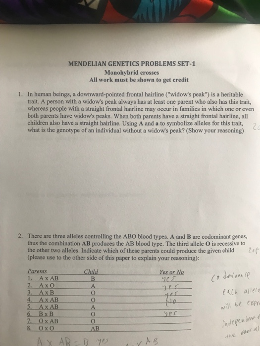 Solved Mendelian Genetics Problems Set Monohybrid Crosses Chegg Com