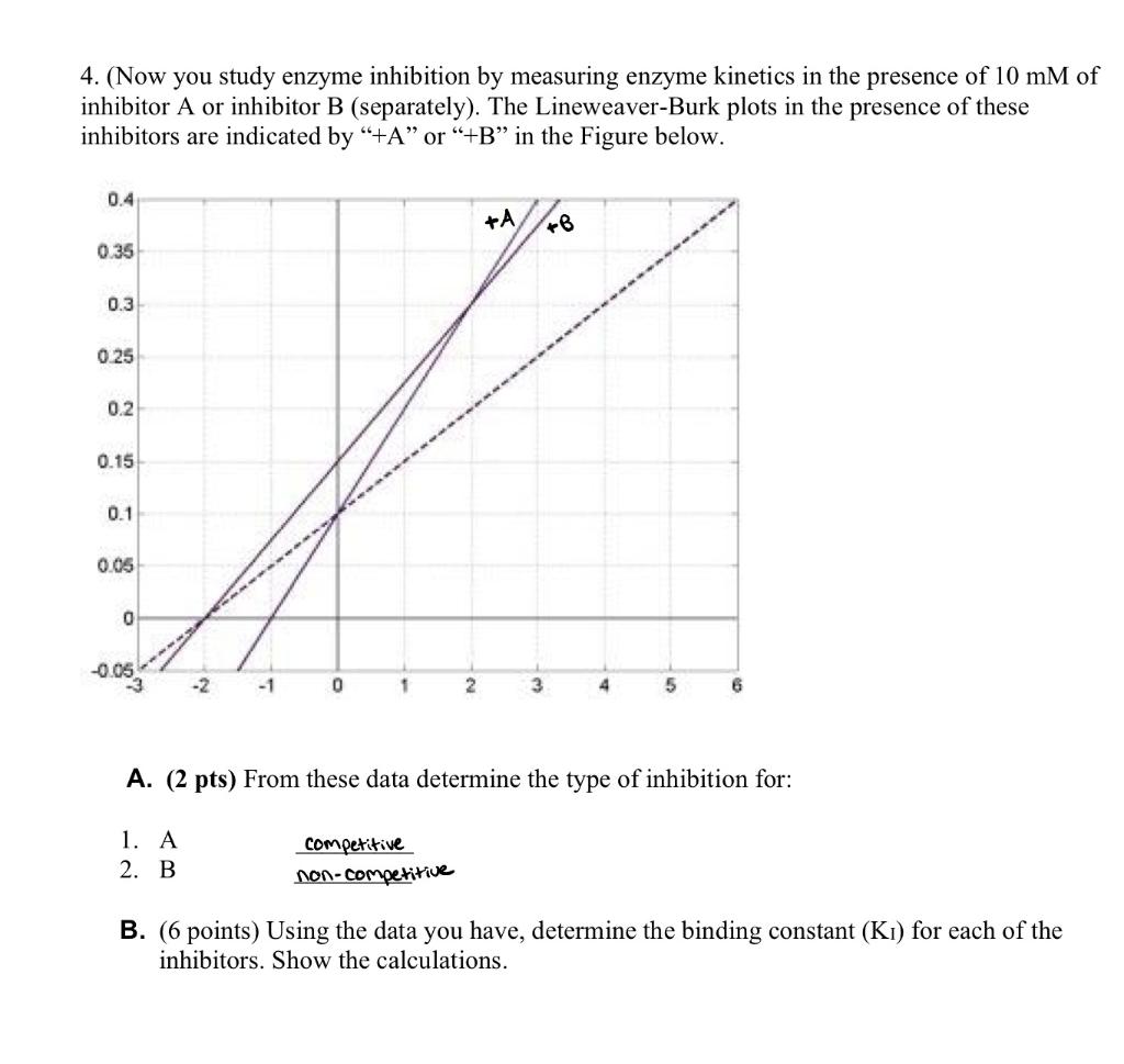 Solved 4. (Now you study enzyme inhibition by measuring | Chegg.com