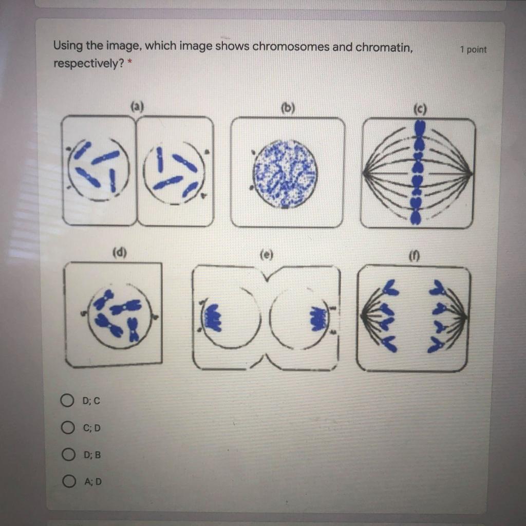 Solved Using the image, which image shows chromosomes and | Chegg.com