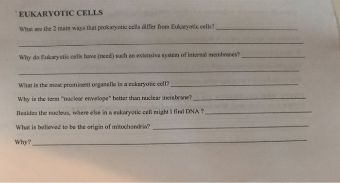 Solved EUKARYOTIC CELLS What are the 2 main ways that | Chegg.com